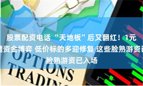 股票配资电话 “天地板”后又翻红！1元牛股遭资金博弈 低价标的多迎修复 这些脸熟游资已入场