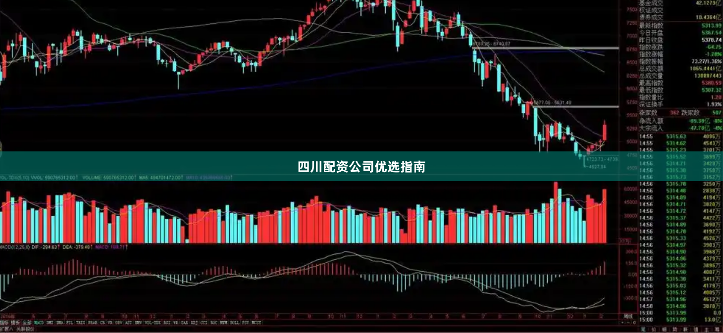 四川配资公司优选指南