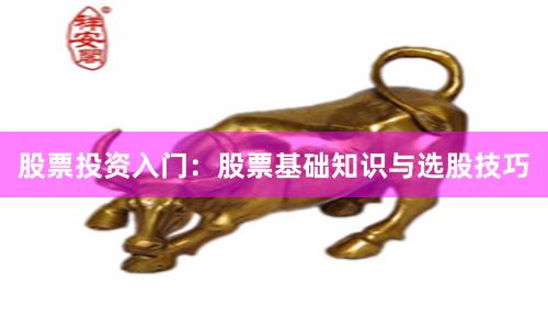 股票投资入门：股票基础知识与选股技巧